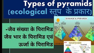 ecological pyramids types in hindi [upl. by Saerdna]