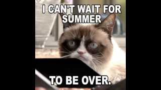 Grumpy Cat In Cat Summer Teaser [upl. by Athiste103]