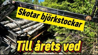 Skotar Björkstockar till årets ved Stöter på patrull men löser det mowi case björn ved björk [upl. by Suiradal]