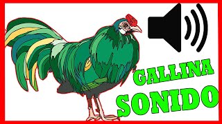 SONIDO de GALLINA 🐔 efecto de sonido INCREÍBLE ❤️ [upl. by Aznerol708]