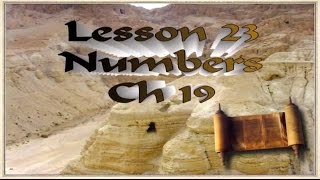 N 23 Tom Bradfords Torah Class  Numbers Chapter 19  Red Heifer Hataat Korbanot [upl. by Doyle368]