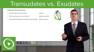 Transudates vs Exudates – Pleural Disease  Lecturio [upl. by Fablan55]