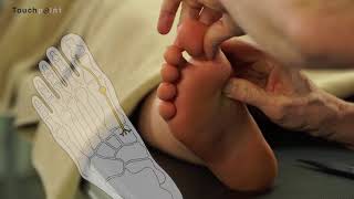 Classical reflexology Vagus nerve [upl. by Sena355]