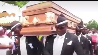 African Coffin Dance Funeral MEME [upl. by Shanna]