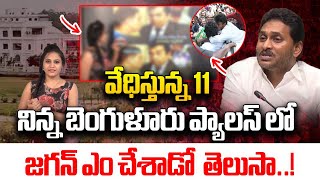 బెంగుళూరు ప్యాలస్ లో జగన్ ఎం చేశాడో తెలుసా  YS Jagan Shocking Reaction In Bangalore Palace WWT [upl. by Llehctim]