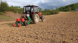 IMT 551  MF 65  i Zetor 6045  Brnanjesjetva kukuruza i valjanje  Pneumatska sijacica Agria [upl. by Nimesh]