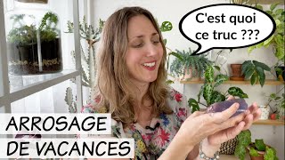 💦 ARROSAGE DE VACANCES  JAI TESTÉ LE GEL DARROSAGE  SOLUTION RAPIDE ET PRATIQUE POUR LES PLANTES [upl. by Marne]