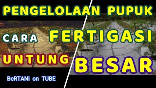 Pengelolaan Pupuk Dengan Cara Fertigasi [upl. by Iver]