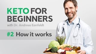 A keto diet for beginners part 2 how it works [upl. by Boaten]