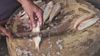 Exclusive Uncut  West Mambalam Gandhi Street Fish MarketLIVE cutting of fishes  8 AM 25112024 [upl. by Golliner]