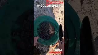 💰Panning Lessons For Gold Prospector goldpanning goldrush [upl. by Nylinnej825]