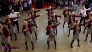 Airlink Flash Mob [upl. by Spitzer]