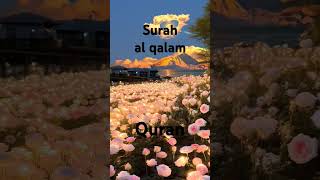 surahqalam allah gracious allahquran heaven peace [upl. by Huey]