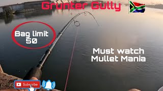 OFFROAD4LIFE Fishing Grunter Gully Durban South Africa [upl. by Iroj339]