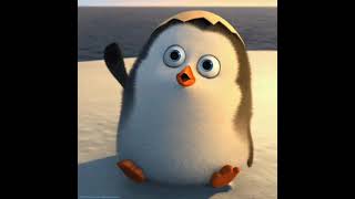 Penguin Song  Funny Cartoons 3D [upl. by Ahsieki]