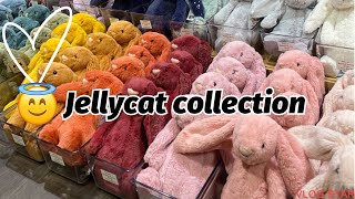 JELLYCAT COLLECTION ✨ SHOULD I GET MORE jellycat haul subscribe [upl. by Alletniuq796]