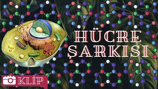 Hücre Organeller Şarkısı [upl. by Noedig78]