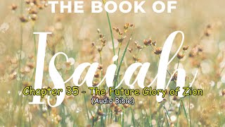 Isaiah 35  The Future Glory of Zion [upl. by Silvia328]