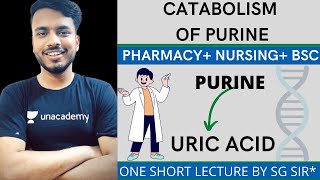 catabolism of purine nucleotides  purine Nucleotide catabolism  catabolism of purine biochemistry [upl. by Loar]