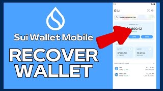 How to Recover Sui Wallet 2024 [upl. by Garnes]