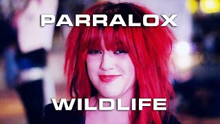 Wildlife Official Video [upl. by Zilevi283]