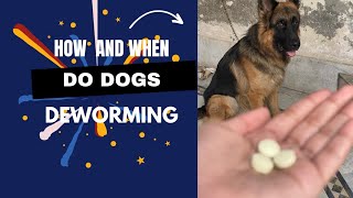 How and when to do deworming of dogs  benefits of deworming  how to do deworming [upl. by Itsrik711]