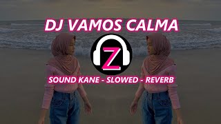 DJ VAMOS CALMA NEW STYLE KANE  Zhiidheqq [upl. by Terence]