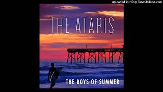 THE ATARIS  BOYS OF SUMMER HIGH PITCHED VERSION [upl. by Dame]