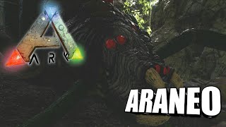 Taming A Araneo  Ark Survival Evolved  The Island [upl. by Eugatnom595]