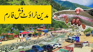 EXPLORE MADYAN TROUT FISH FARM SWAT VALLEY PAKISTAN [upl. by Gavra]