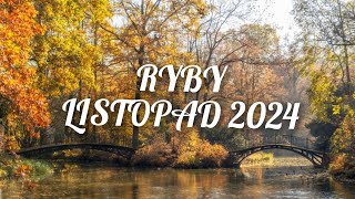 ♓RYBY ♓ listopad 2024  zmiany które wprowadzą spokój i stabilizację 🫶💫☺️🪬🪐🌕 [upl. by Oleta290]