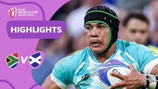 Springboks SUBLIME against Scots  South Africa v Scotland  Rugby World Cup 2023 Highlights [upl. by Winstonn]