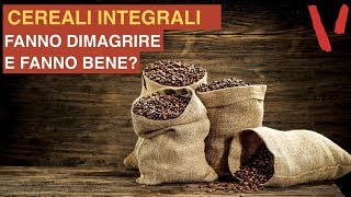 Cereali integrali quali sono Fanno bene e fanno dimagrire [upl. by Amabel]