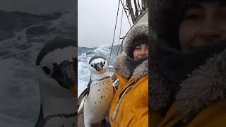 Giant Sea Monsters Caught by Fishermen 🐙🎣GiantSeaCreatures FishingDiscoveries OceanMysteries [upl. by Shanahan782]