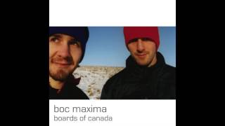 Boards Of Canada  nlogax [upl. by Akimal]