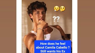 Shawn Mendes New Love but still wants his ex Camila but guarded  🤔😮‍💨 shawnmendescamilacabello [upl. by Alexandr]