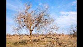 Hakusembe River Lodge in Rundu Namibia  Namibia Hotel Bewertung [upl. by Oigimer378]