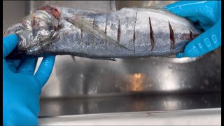 Comment Nettoyer Le Poissonmaquereau  Chinchard  How to clean Fish [upl. by Aisad]