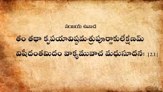 Bhagavad Gita Chanting Chapter2 With Text in Teluguభగవద్గీత పారాయణం తెలుగులొ [upl. by Johannes]