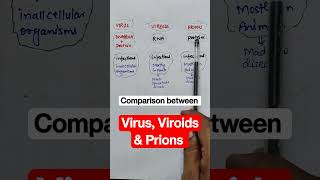 Difference between Virus Viroids and Prions short prions viroids [upl. by Ilhsa]