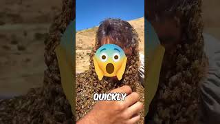 Bees Swarm On Face 😲🐝 shorts trendingshorts [upl. by Menendez989]