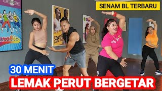 30 Menit Hilangkan Lemak Perut Dengan Cepat  Senam BL Paling Dahsyat [upl. by Atsiuqal]