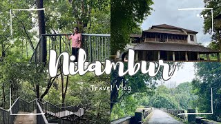 നിലമ്പൂർ കാഴ്ച്ചകൾ  Nedumkayam rainforest  Skywalk  Vlog22 nilambur vlogs couplevlogs travel [upl. by Teerpnam]