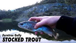 Fishing Ferntree Gully Quarry Reserve  How to catch Stocked Trout [upl. by Seira]