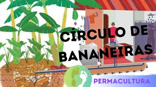 A melhor forma de plantar bananeiras Circulo de bananeiras PERMACULTURA [upl. by Gnivri]