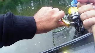 King Salmon fishing trip on the Humptulips river Washington [upl. by Grati]