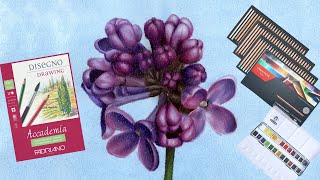 Unveiling the Hidden Secrets of Drawing a Stunning Lilac in Colored Pencil [upl. by Punke]