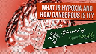 Hypoxia Definition Causes Symptoms and Treatment What is hypoxia and how dangerous is it [upl. by Vivianna]