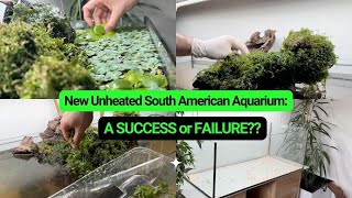 New Unheated South American Aquarium A SUCCESS or FAILURE [upl. by Nyliret110]