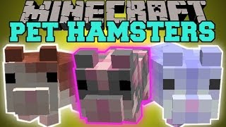 Minecraft PET HAMSTERS BREED THEM SIT ON YOUR HEAD HAMSTER BALLS Mod Showcase [upl. by Dosh]